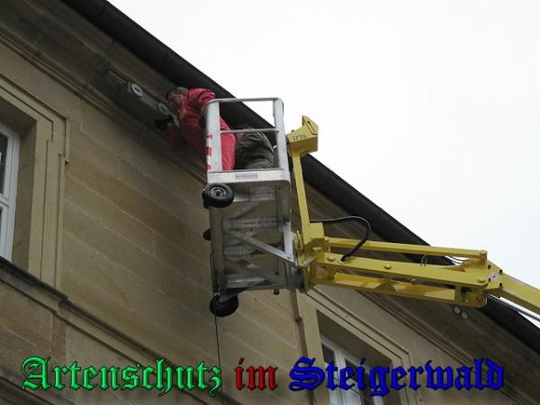 Copyright AiS / 2009 Köhler Bild zum Eintrag (24512-160)