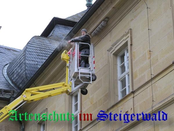 Copyright AiS / 2009 Kunze Bild zum Eintrag (24524-160)