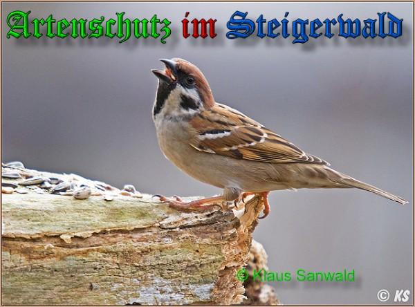 Copyright AiS / 2009 Klaus Sanwald Bild zum Eintrag (24525-160)
