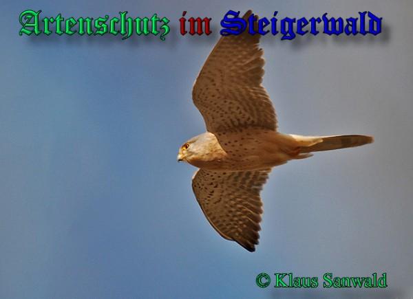 Copyright AiS / 2009 Klaus Sanwald Bild zum Eintrag (24535-160)