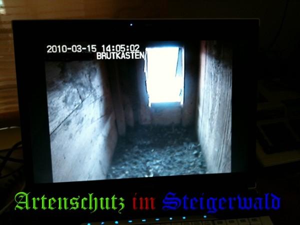 Copyright AiS / 2010 Fels Bild zum Eintrag (24554-160)