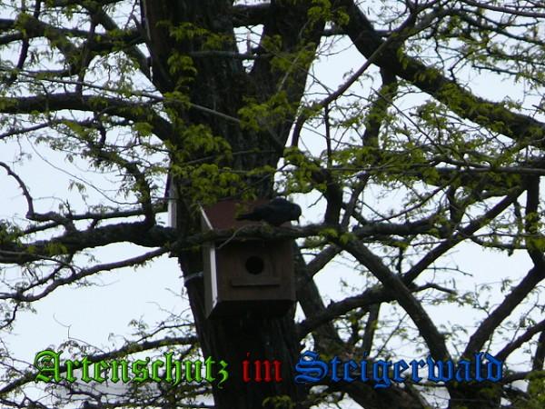 Copyright AiS / 2010 Weidner Bild zum Eintrag (24587-160)