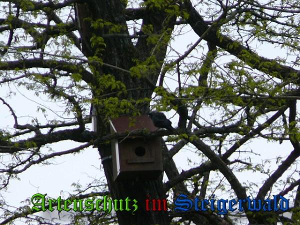 Copyright AiS / 2010 Weidner Bild zum Eintrag (24588-160)