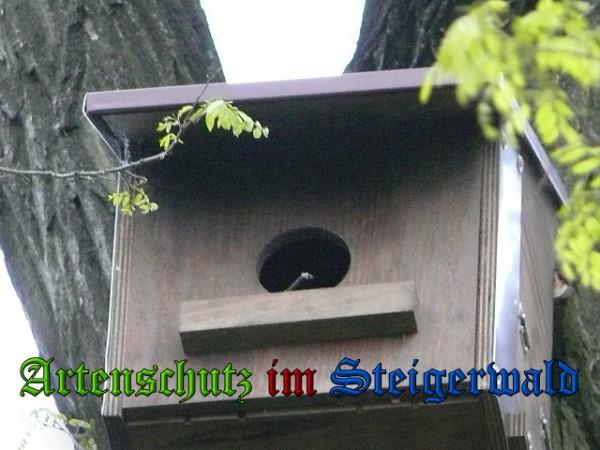 Copyright AiS / 2010 Weidner Bild zum Eintrag (24589-160)