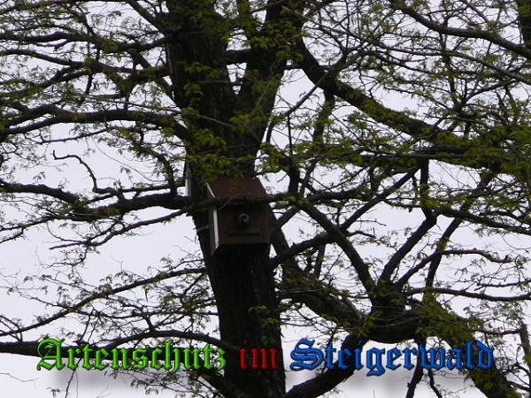 Copyright AiS / 2010 Weidner Bild zum Eintrag (24590-160)