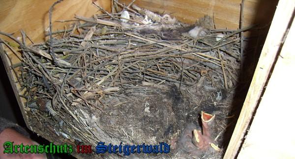Copyright AiS / 2010 Schiesser Bild zum Eintrag (24592-160)