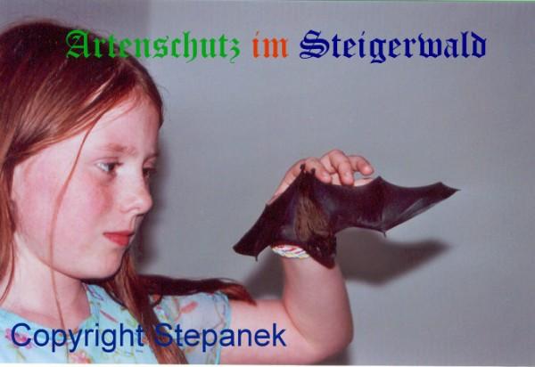 Copyright AiS / Stepanek Bild zum Eintrag (24601-160)