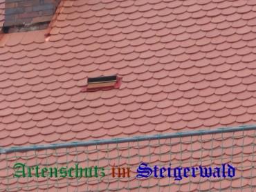 Copyright AiS / Köhler Bild zum Eintrag (24606-160)