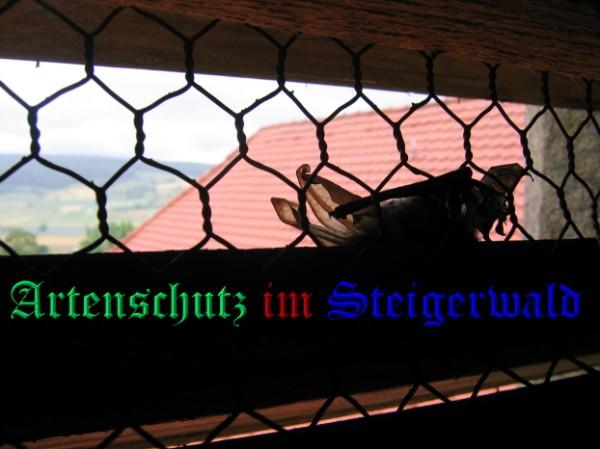 Copyright AiS / 2009 Köhler / Frei Bild zum Eintrag (24629-160)