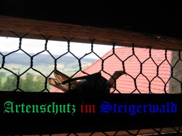 Copyright AiS / 2009 Köhler / Frei Bild zum Eintrag (24630-160)