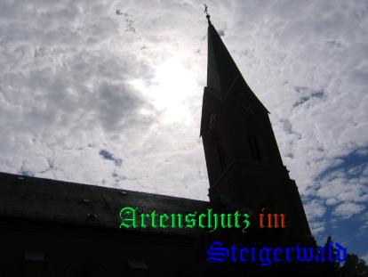 Copyright AiS / Köhler Bild zum Eintrag (24635-160)
