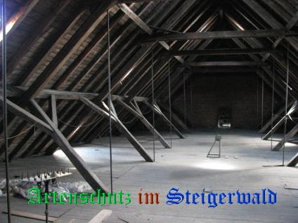 Copyright AiS / Ditterich Bild zum Eintrag (24639-160)