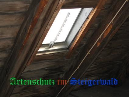 Copyright AiS / Ditterich Bild zum Eintrag (24640-160)