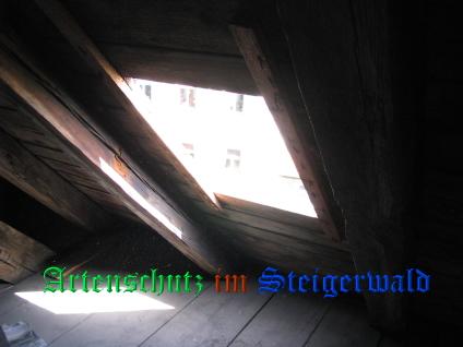 Copyright AiS / Ditterich Bild zum Eintrag (24641-160)