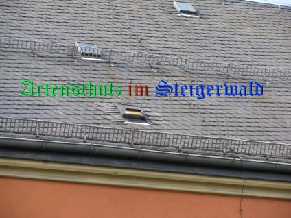 Copyright AiS / Ditterich Bild zum Eintrag (24644-160)
