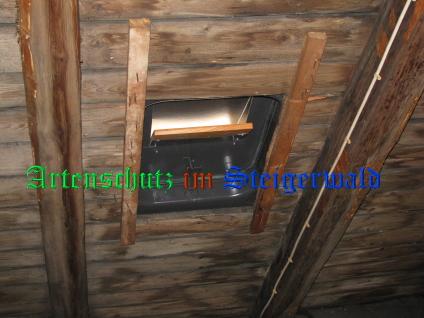 Copyright AiS / Ditterich Bild zum Eintrag (24646-160)