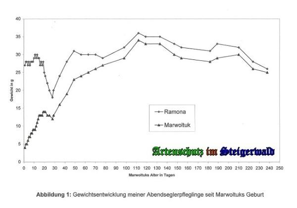 Copyright AiS / 2009 - Stepanek Bild zum Eintrag (24779-160)