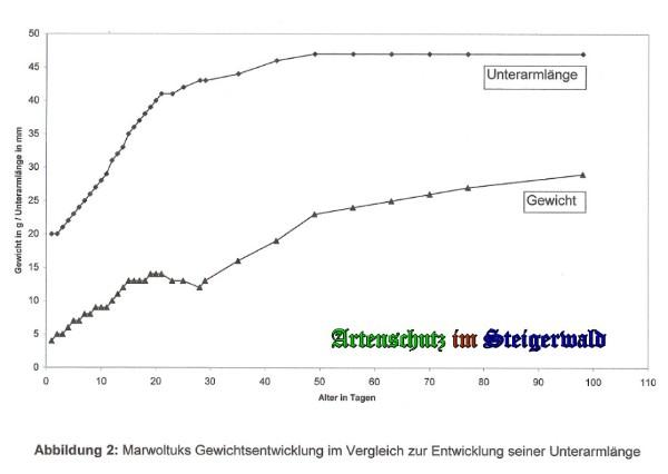 Bild zum Eintrag (24784-160)