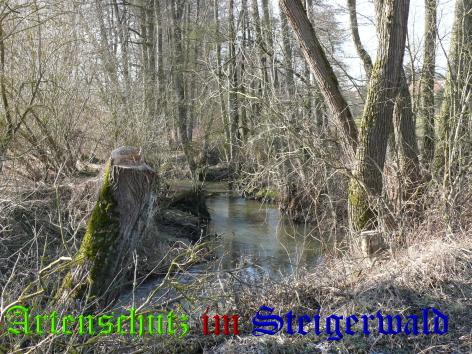 Copyright AiS / Walther Bild zum Eintrag (24823-160)