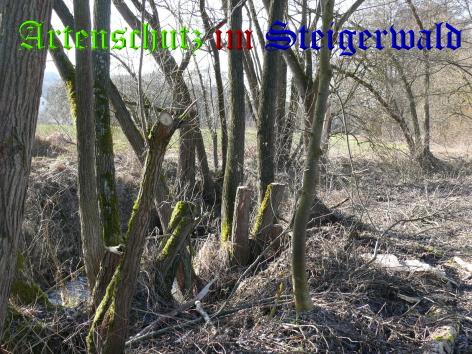 Copyright AiS / Walther Bild zum Eintrag (24824-160)