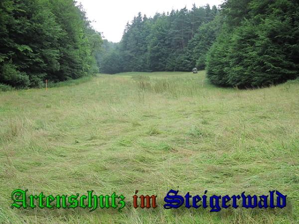 Copyright AiS / 2010 Bild zum Eintrag (24856-160)