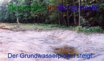 Copyright AiS / Köhler Bild zum Eintrag (24861-160)