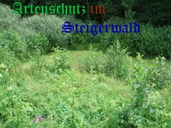 Copyright AiS / Weidner Bild zum Eintrag (24870-160)