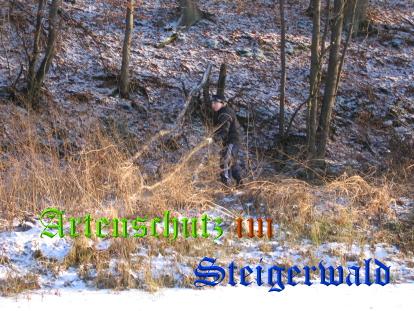 Copyright AiS / Köhler Bild zum Eintrag (24878-160)