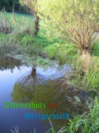 Copyright AiS / Köhler Bild zum Eintrag (24879-160)
