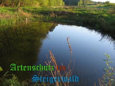 Copyright AiS / Köhler Bild zum Eintrag (24880-160)