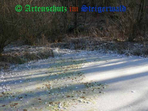 Copyright AiS / 2009 - Weidner Bild zum Eintrag (24884-160)
