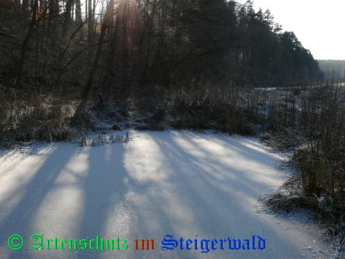 Copyright AiS / 2009 - Weidner Bild zum Eintrag (24885-160)