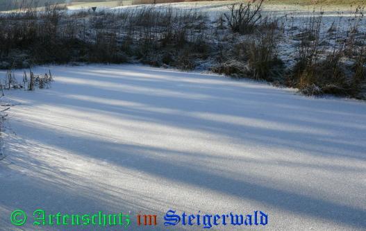 Copyright AiS / 2009 - Weidner Bild zum Eintrag (24886-160)