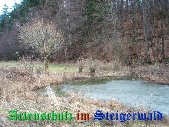 Copyright AiS / 2009 - Schmitt / Köhler Bild zum Eintrag (24896-160)