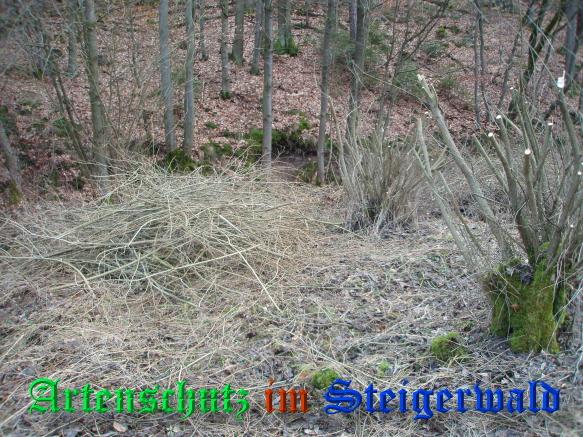Copyright AiS / 2009 - Schmitt / Köhler Bild zum Eintrag (24898-160)