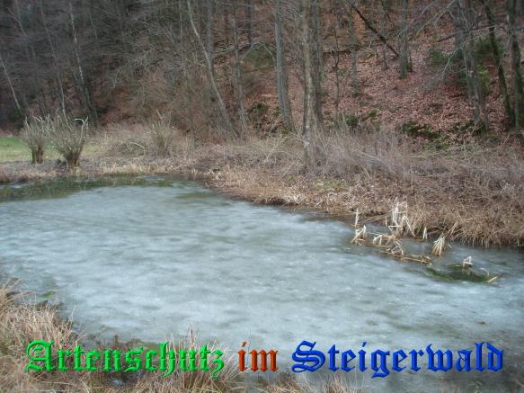 Copyright AiS / 2009 - Schmitt / Köhler Bild zum Eintrag (24899-160)