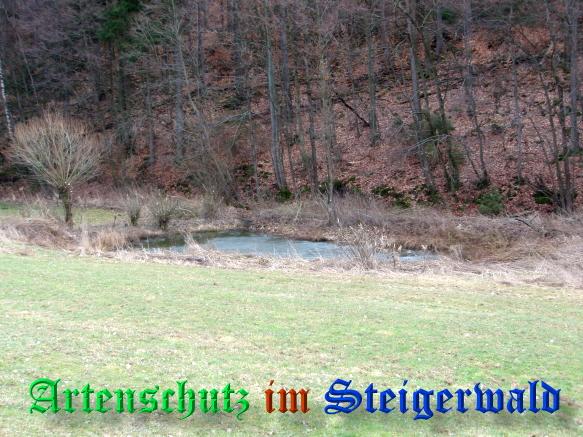 Copyright AiS / 2009 - Schmitt / Köhler Bild zum Eintrag (24901-160)