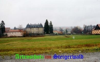 Copyright AiS / Köhler Bild zum Eintrag (24925-160)