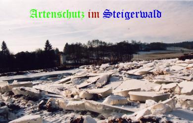 Copyright AiS / Köhler Bild zum Eintrag (24929-160)