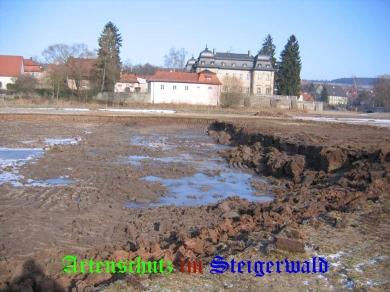 Copyright AiS / Köhler Bild zum Eintrag (24932-160)