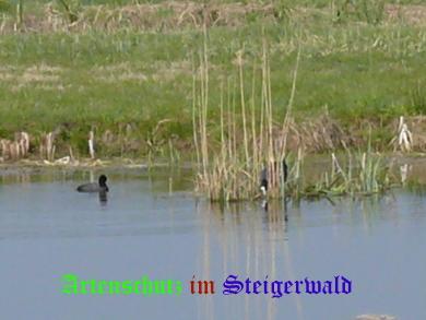 Copyright AiS / Bertelmann Bild zum Eintrag (24933-160)