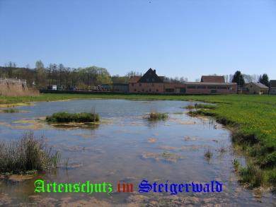 Copyright AiS / Köhler Bild zum Eintrag (24934-160)