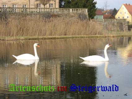Copyright AiS / Johanna Reul Bild zum Eintrag (24941-160)