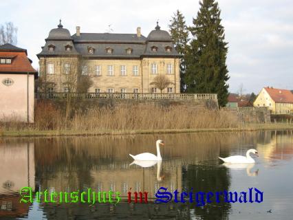 Copyright AiS / Johanna Reul Bild zum Eintrag (24943-160)