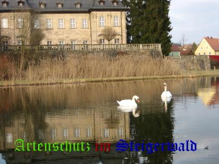 Copyright AiS / Johanna Reul Bild zum Eintrag (24944-160)