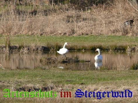 Copyright AiS / Köhler Bild zum Eintrag (24948-160)