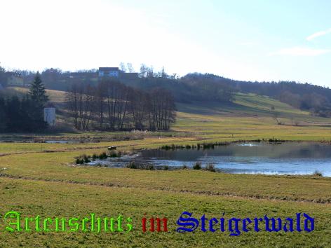 Copyright AiS / Brehm Bild zum Eintrag (24949-160)
