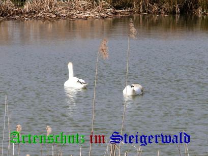 Copyright AiS / Köhler Bild zum Eintrag (24950-160)
