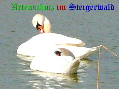 Copyright AiS / Köhler Bild zum Eintrag (24951-160)