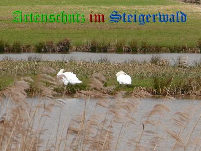Copyright AiS / Köhler Bild zum Eintrag (24957-160)
